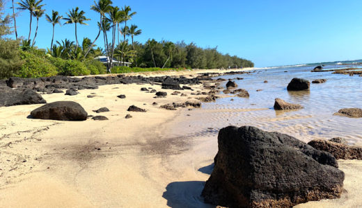 【ハワイ★カウアイ島旅行】②洞窟の後はトレイルを歩いてビーチ＆リクガメ見学！
