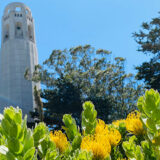 【サンフランシスコ】小高い丘にそびえ立つ360度ビュー★コイトタワー